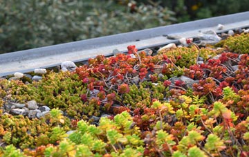 the cost of Battisford green roof installation