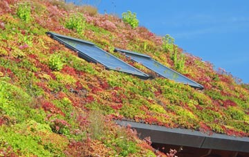 Battisford living roof systems