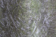 Battisford fibreglass roof work